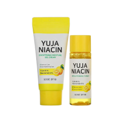 Fresh organic villa farm lemon 500gm pack